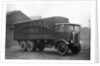 1932 Pagefield Plantagenet by Unknown