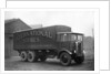 1932 Pagefield Plantagenet by Unknown
