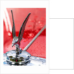 Alvis Mascot by Anonymous