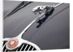 Leaping cat mascot on Jaguar XK150 by Anonymous