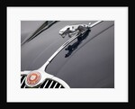 Leaping cat mascot on Jaguar XK150 by Anonymous