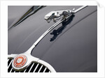 Leaping cat mascot on Jaguar XK150 by Anonymous