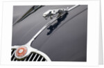 Leaping cat mascot on Jaguar XK150 by Anonymous