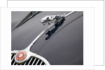 Leaping cat mascot on Jaguar XK150 by Anonymous
