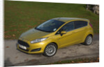 2013 Ford Fiesta Econetic by Unknown