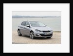 2014 Peugeot 308 THP 156 Feline by Unknown