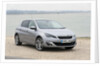 2014 Peugeot 308 THP 156 Feline by Unknown