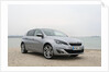 2014 Peugeot 308 THP 156 Feline by Unknown