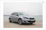 2014 Peugeot 308 THP 156 Feline by Unknown
