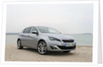 2014 Peugeot 308 THP 156 Feline by Unknown