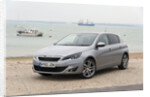 2014 Peugeot 308 THP 156 Feline by Unknown