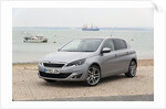 2014 Peugeot 308 THP 156 Feline by Unknown