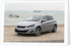 2014 Peugeot 308 THP 156 Feline by Unknown