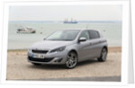 2014 Peugeot 308 THP 156 Feline by Unknown