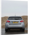 2014 Peugeot 308 THP 156 Feline by Unknown