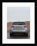 2014 Peugeot 308 THP 156 Feline by Unknown