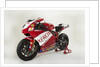 2006 Ducati 999 Xerox, Troy Bayliss Superbike.Moto GP championship winner by Unknown