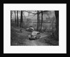 Standard Twelve of K Picken at the Standard Car Owners Club Southern Counties Trial, 1938 by Bill Brunell