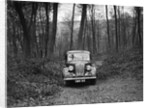 Standard Flying Twelve at the Standard Car Owners Club Southern Counties Trial, 1938 by Bill Brunell