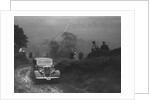Ford V8 saloon of WT Platt competing in the MCC Sporting Trial, 1935 by Bill Brunell