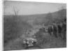 Austin 7 Grasshopper of CD Buckley competing at the MG Car Club Midland Centre Trial, 1938 by Bill Brunell