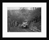 Wolseley Patrick Hornet Special of TL Langford at the Sunbac Colmore Trial, Gloucestershire, 1933 by Bill Brunell