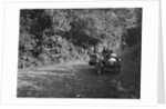 Motorcycle and sidecar of HD Jongs, Brighton and Hove Motor Club Brighton-Beer Trial, 1930 by Bill Brunell