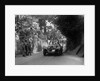 Jaguar SS100 of HE Bradley competing in the MCC Torquay Rally, 1938 by Bill Brunell