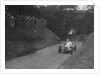 Austin competing in the Shelsley Walsh Amateur Hillclimb, Worcestershire, 1929 by Bill Brunell