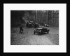 Wolseley 11 competing in the Sunbeam Motor Car Club Bognor Trial, 1929 by Bill Brunell