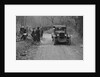 Kittu Brunell watching a Donnet competing in the Sunbeam Motor Car Club Bognor Trial, 1929 by Bill Brunell