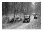 Riley Monaco of CD Allen competing in the Sunbeam Motor Car Club Bognor Trial, 1929 by Bill Brunell
