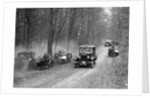 Riley Monaco of CD Allen competing in the Sunbeam Motor Car Club Bognor Trial, 1929 by Bill Brunell