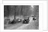 Riley Monaco of CD Allen competing in the Sunbeam Motor Car Club Bognor Trial, 1929 by Bill Brunell