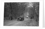 Frazer-Nash competing in the Sunbeam Motor Car Club Bognor Trial, 1929 by Bill Brunell