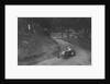 Frazer-Nash competing in the Shelsley Walsh Hillclimb, Worcestershire, 1935 by Bill Brunell