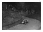 Riley TT Sprite competing in the Shelsley Walsh Hillclimb, Worcestershire, 1935 by Bill Brunell
