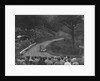 Ford V8 saloon competing in the Shelsley Walsh Hillclimb, Worcestershire, 1935 by Bill Brunell