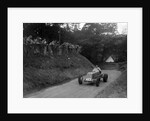 ERA of Raymond Mays competing in the Shelsley Walsh Hillclimb, Worcestershire, 1935 by Bill Brunell
