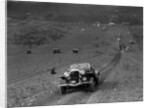 Jensen V8 competing in the London Motor Club Coventry Cup Trial, Knatts Hill, Kent, 1938 by Bill Brunell