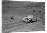 Frazer-Nash BMW 319/55 at the London Motor Club Coventry Cup Trial, Knatts Hill, Kent, 1938 by Bill Brunell
