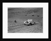Frazer-Nash BMW 319/55 at the London Motor Club Coventry Cup Trial, Knatts Hill, Kent, 1938 by Bill Brunell