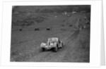 Frazer-Nash BMW 328 of H Wood at the London Motor Club Coventry Cup Trial, Knatts Hill, Kent, 1938 by Bill Brunell