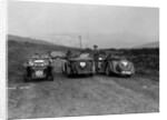 MG F type, Wolseley Hornet and MG Magnette at the Sunbac Inter-Club Team Trial, 1935 by Bill Brunell