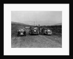 MG F type, Wolseley Hornet and MG Magnette at the Sunbac Inter-Club Team Trial, 1935 by Bill Brunell