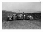 MG F type, Wolseley Hornet and MG Magnette at the Sunbac Inter-Club Team Trial, 1935 by Bill Brunell