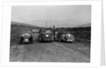 MG F type, Wolseley Hornet and MG Magnette at the Sunbac Inter-Club Team Trial, 1935 by Bill Brunell