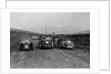 MG F type, Wolseley Hornet and MG Magnette at the Sunbac Inter-Club Team Trial, 1935 by Bill Brunell