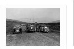 MG F type, Wolseley Hornet and MG Magnette at the Sunbac Inter-Club Team Trial, 1935 by Bill Brunell