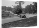 Two Wolseleys racing, Donington Park Race Meeting, Leicestershire, 1933 by Bill Brunell